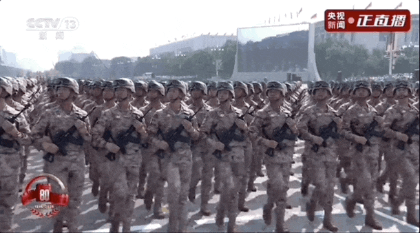 5.gif